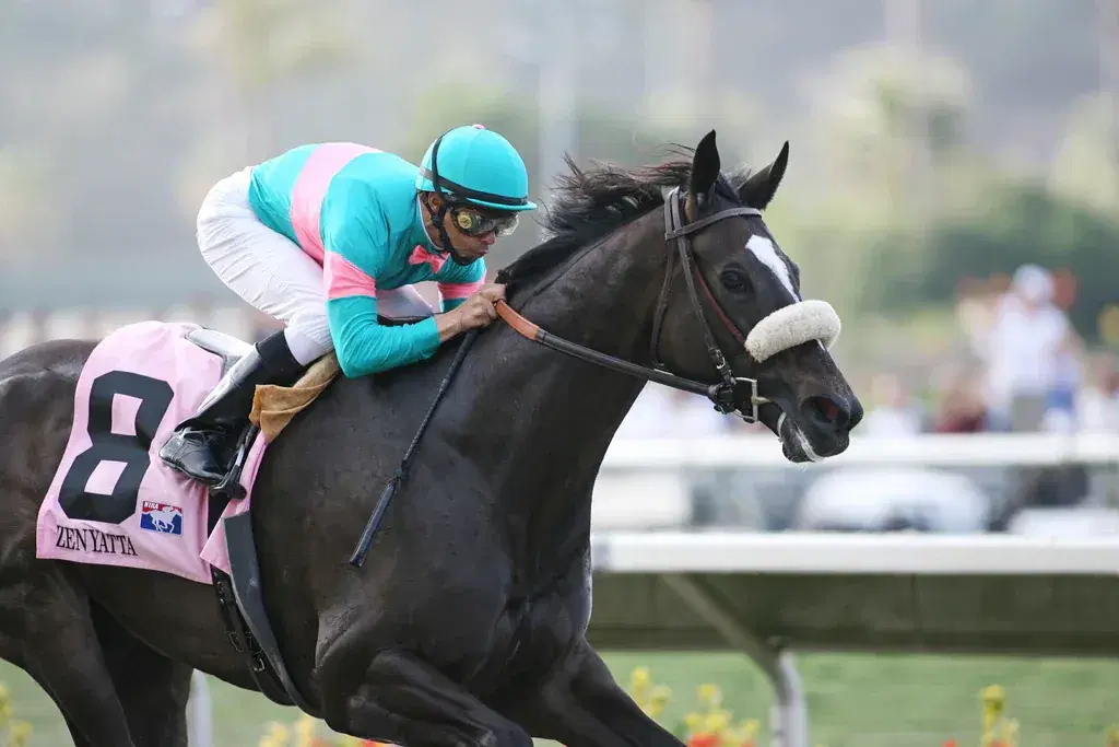 Del Mar Saturday: California Dreamin, Clement L. Hirsch Analysis cover