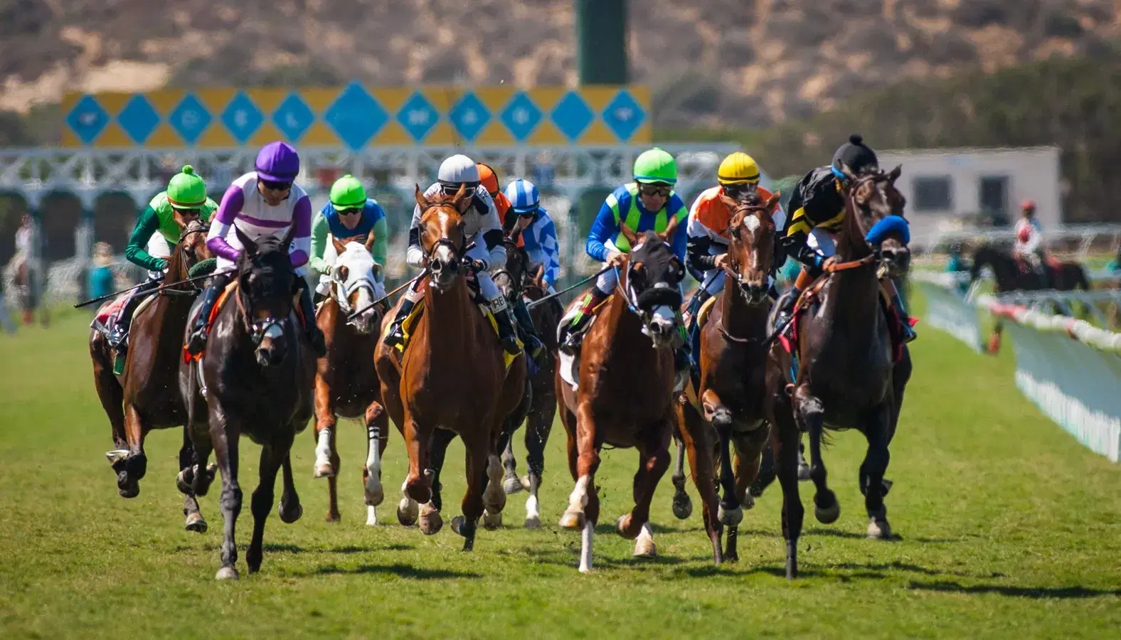 Del Mar Saturday Picks, Analysis: Graded Stakes Pair Featured cover