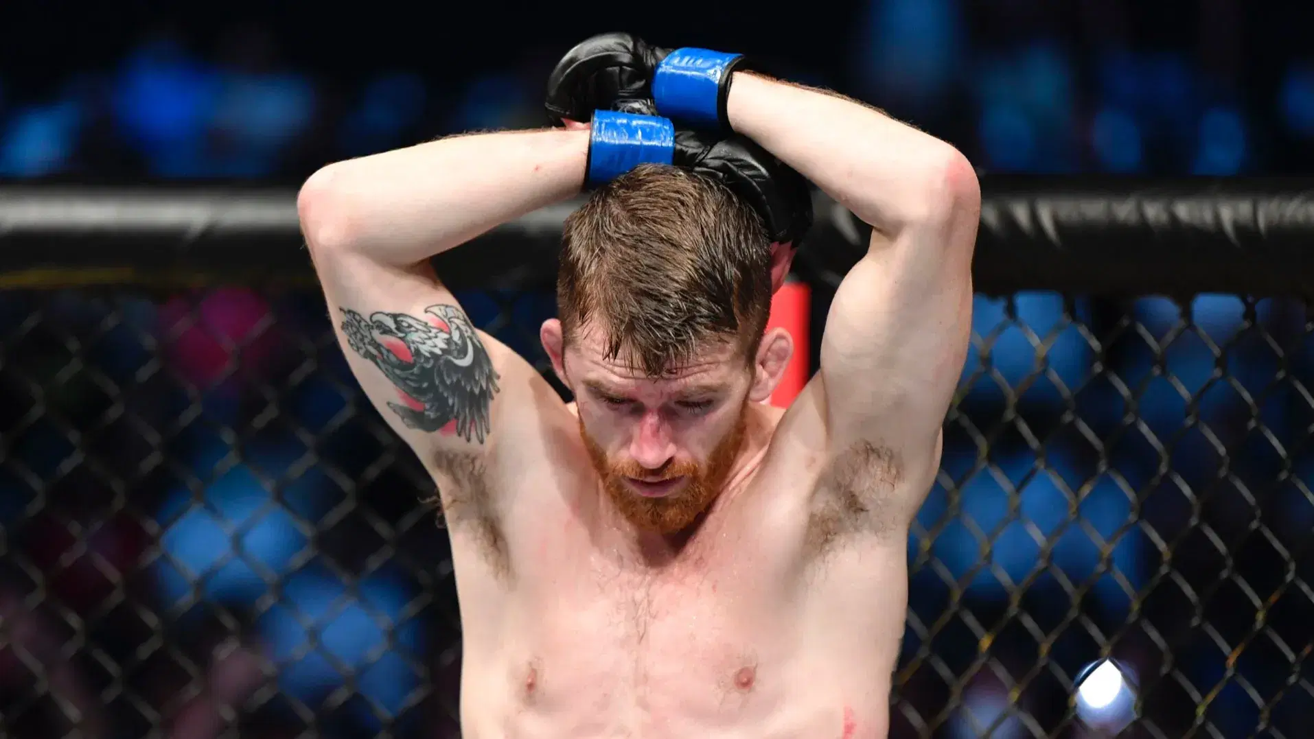 UFC on ABC: Sandhagen vs Nurmagomedov Odds, Main Event & Prelim Picks, Schedule, & How to Watch