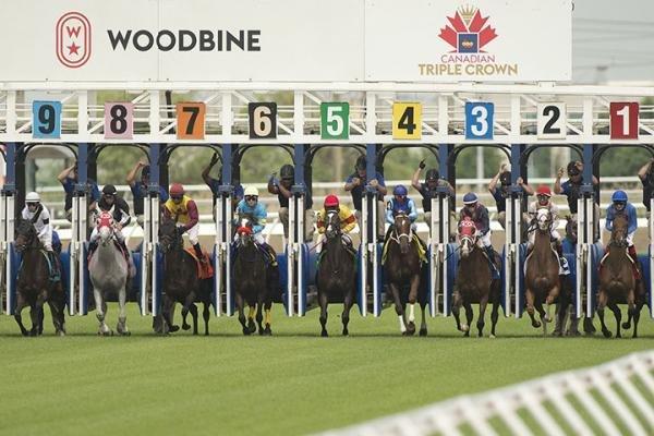 Horses leave the gate at Woodbine