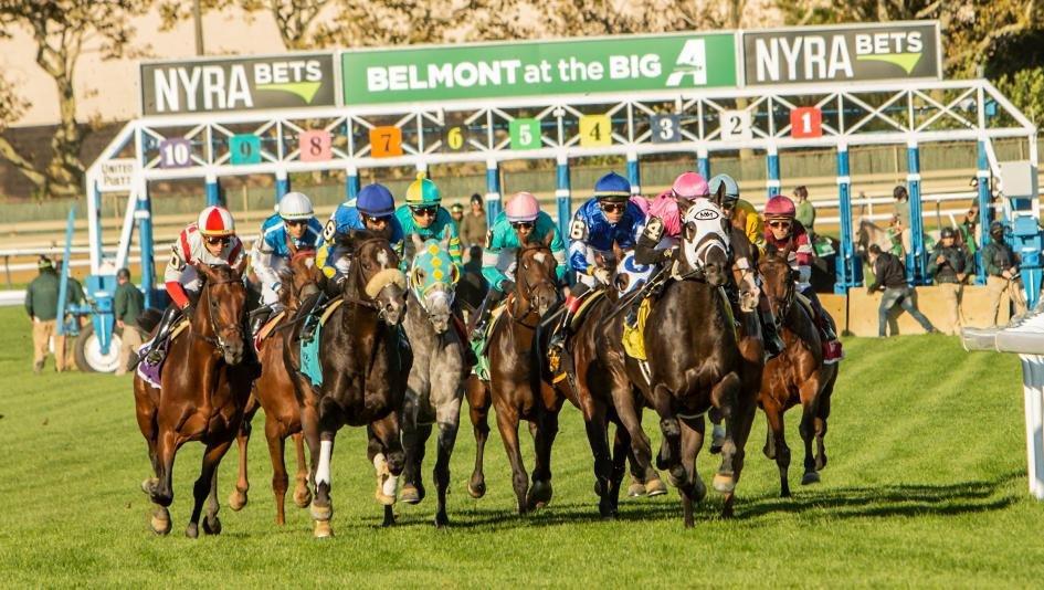 Belmont at the Big A: Noble Damsel Take 2 Friday, September 29, 2023