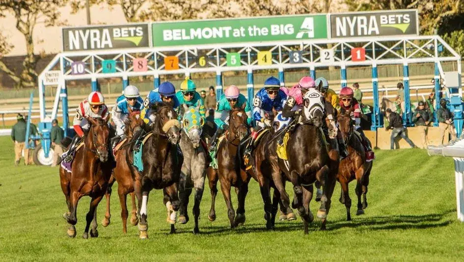 Belmont at the Big A: Noble Damsel Take 2 Friday, September 29, 2023 cover