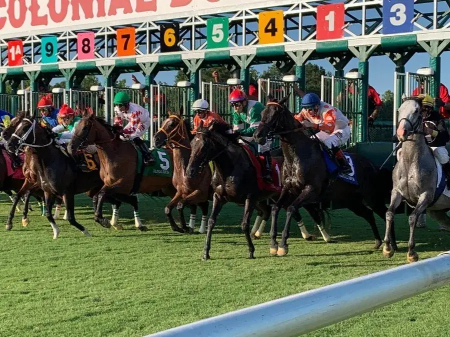 Colonial Downs Picks- Derby Prep Virginia Derby (03/15/2025)