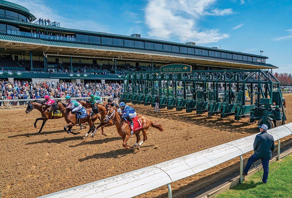 Keeneland Picks- Doubledogdare Stakes (4/18/2025)
