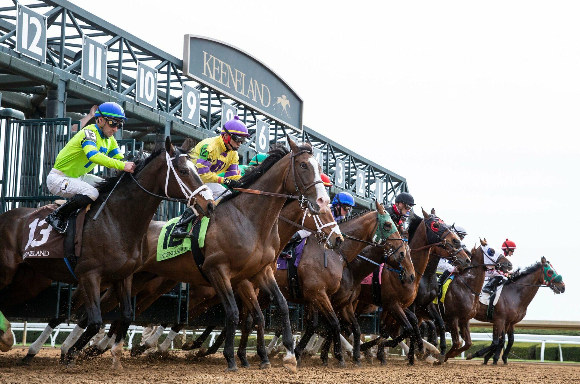 Keeneland Picks: Saturday Lexus Raven Run Stakes (10/18/2025)