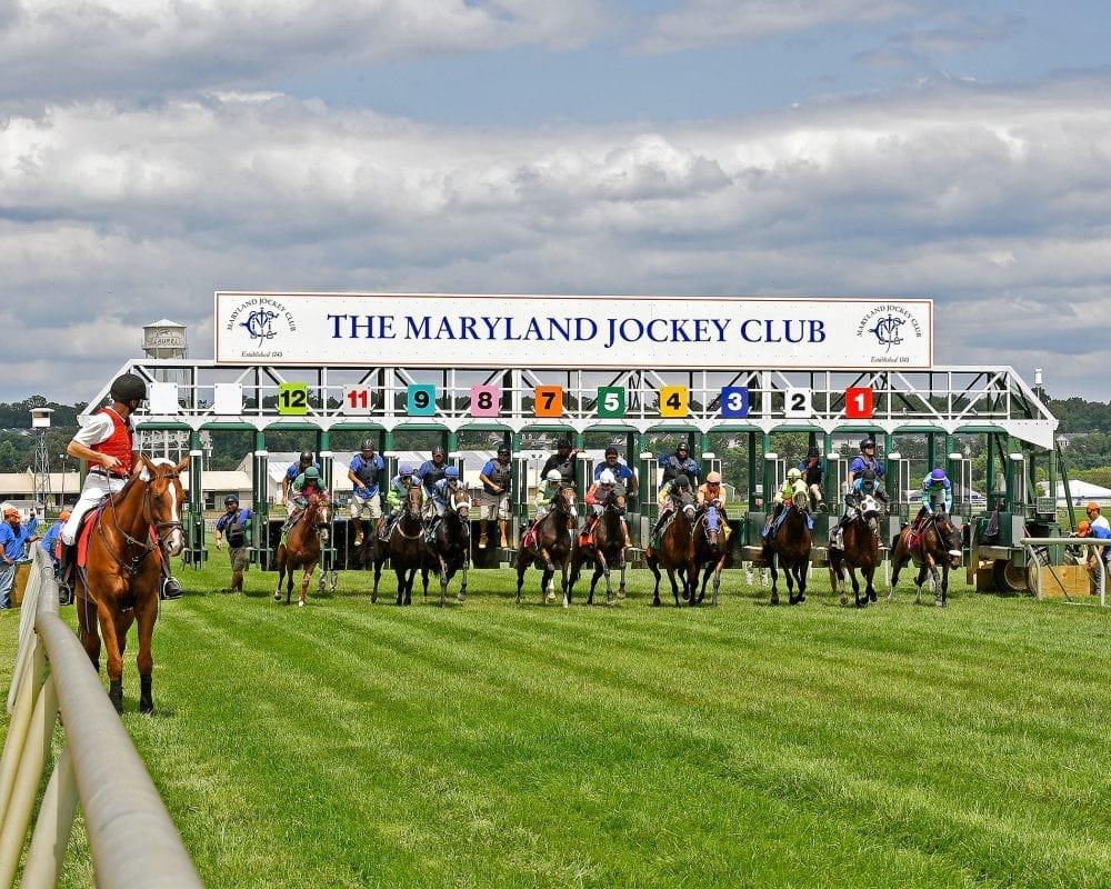 Laurel Park Selections: Maryland Millions, Saturday, October 14