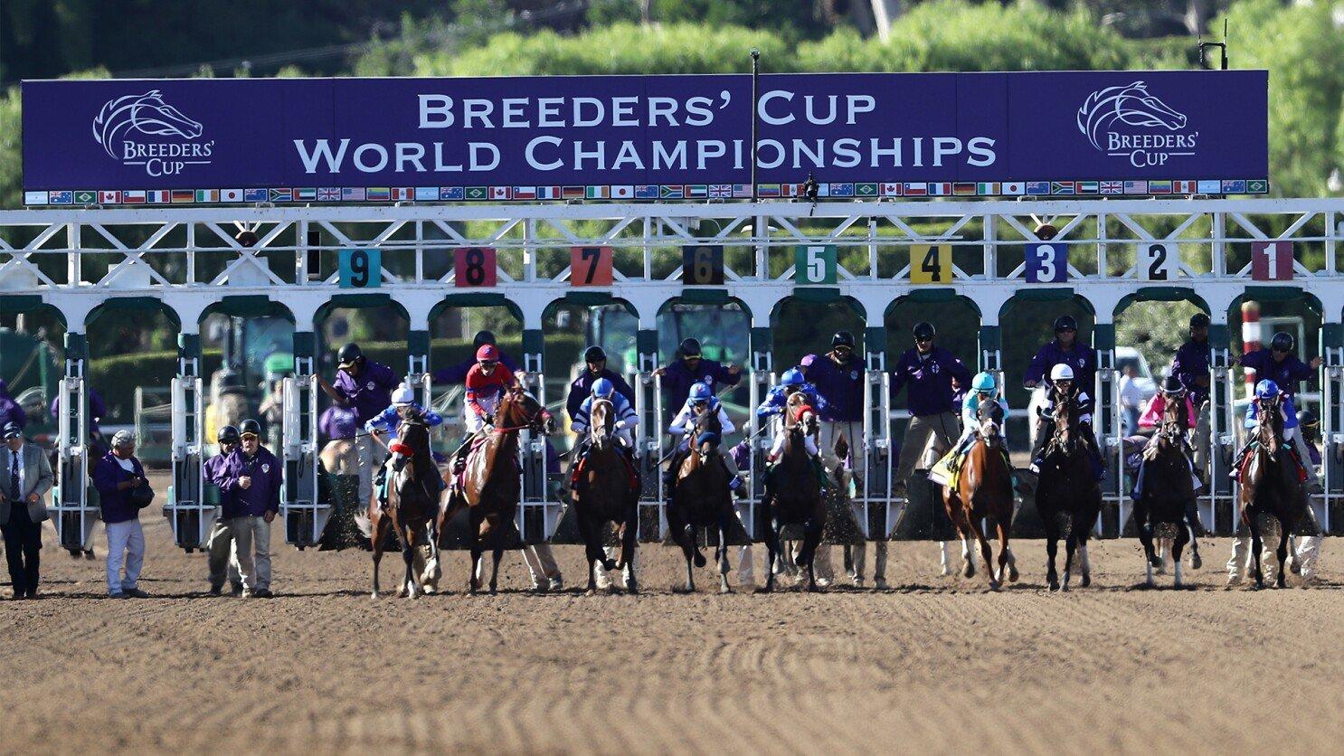 Breeders’ Cup Post Draw Reactions: Upgrades & Downgrades