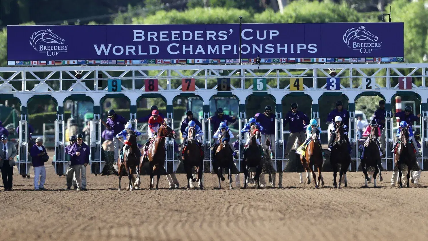 Breeders’ Cup Post Draw Reactions: Upgrades & Downgrades
