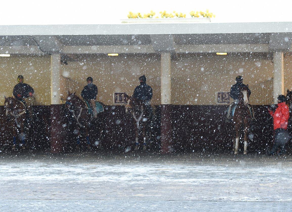 Aqueduct Picks: Grade 3 Comely Stakes (12/07/2025)