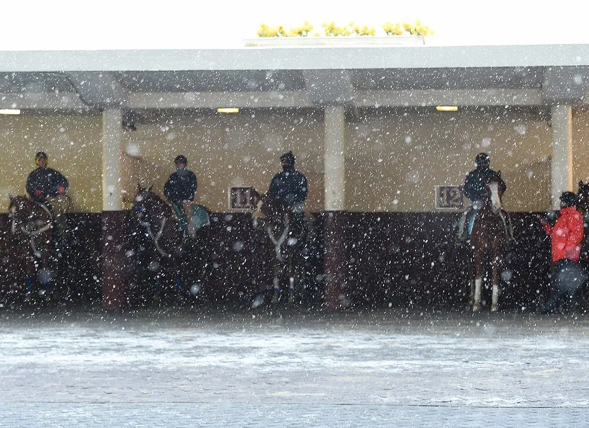 Aqueduct Saturday: Comely Stakes Analysis, November 25, 2023