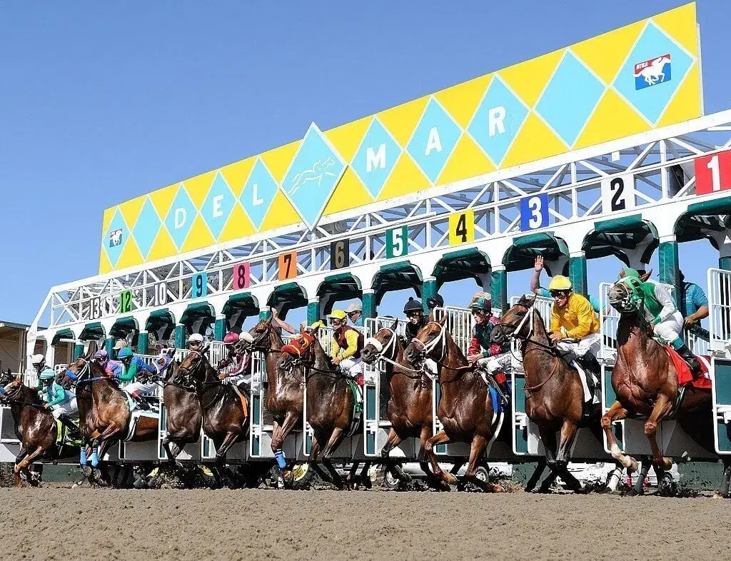 Del Mar Picks: Chosen Vron Stakes (11/08/2025)