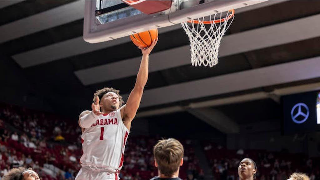 NCAA Basketball Predictions, Odds & Best Bets (11/15)