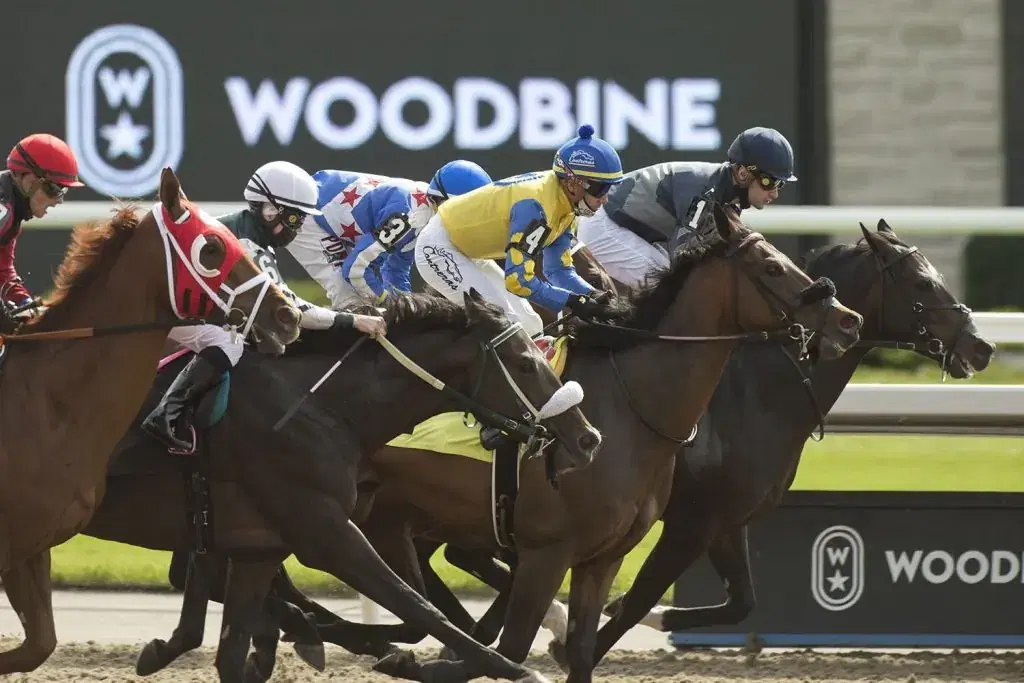 Woodbine Picks: Saturday Ontario Derby (10/18/2025)
