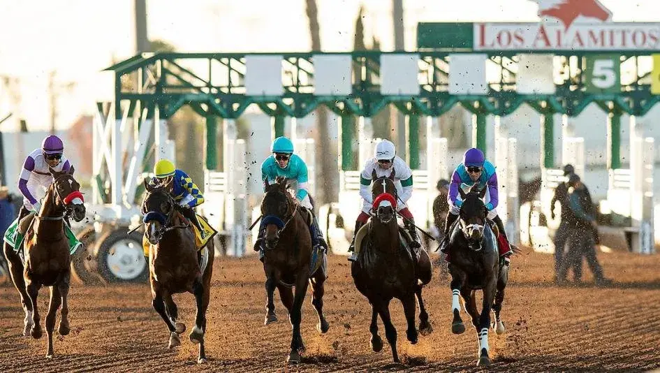 Los Alamitos Race Course Picks- 2024 Los Al Futurity Analysis