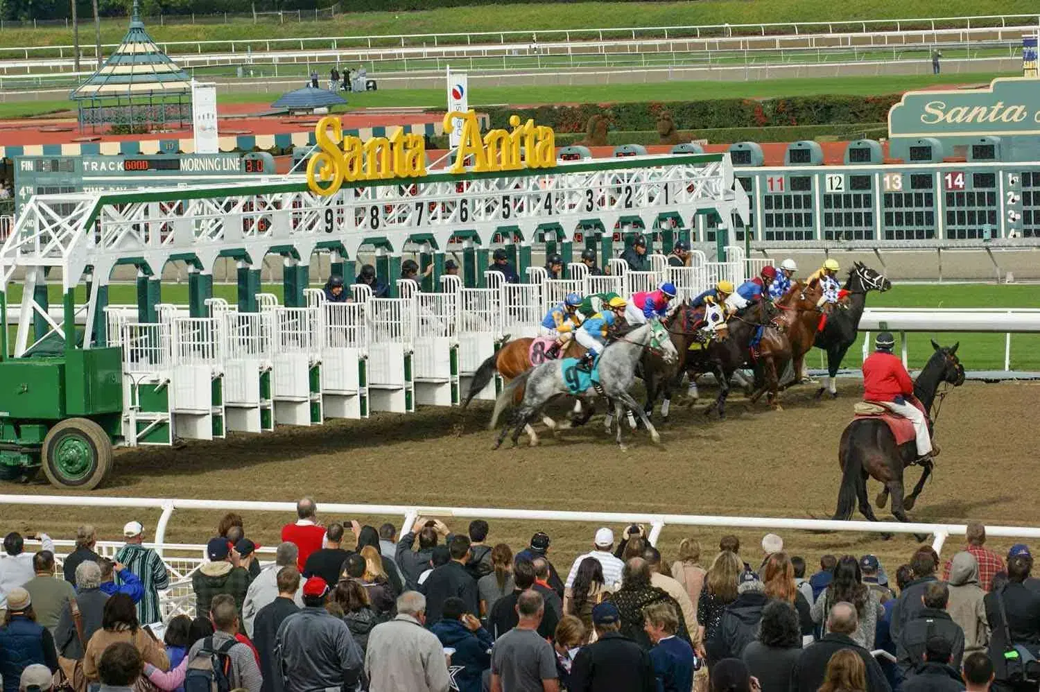 Santa Anita Picks- Santa Margarita Stakes (5/25/2025)