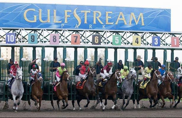 Gulfstream Park Picks: H. Allen Jerkens Horse Betting Analysis cover