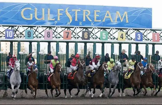 Gulfstream Park Picks- 2025 Sunshine Turf Stakes