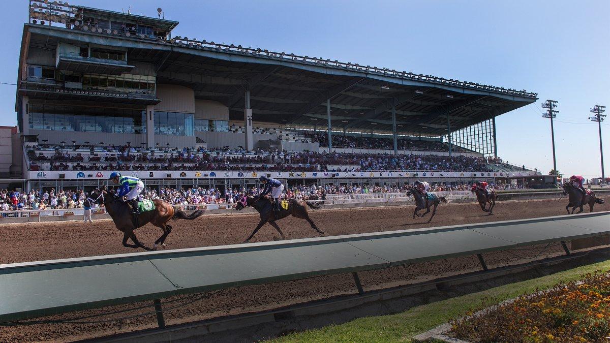 Los Alamitos Picks: Boutique Meet Runs Graded Stakes- Starlet Analysis cover