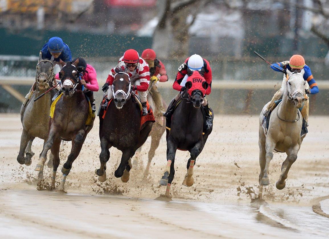 Aqueduct Picks: Maddie May Stakes (03/07/2026)
