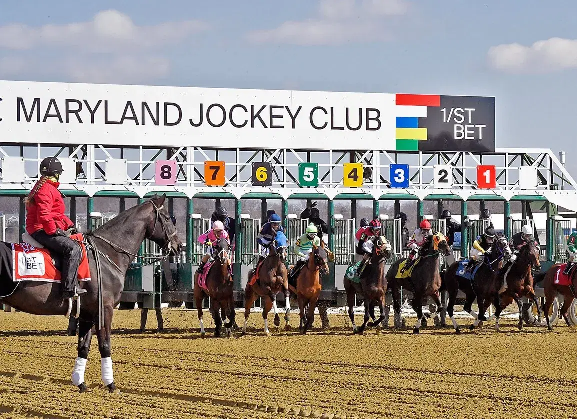 Laurel Park Picks: Saturday Maryland Millions Stakes (10/11/25)