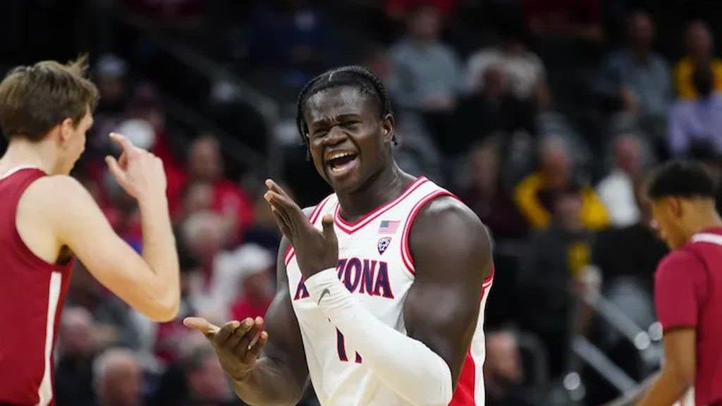 FAU vs Arizona Basketball Prediction, Odds & Picks 12/23/2023 cover