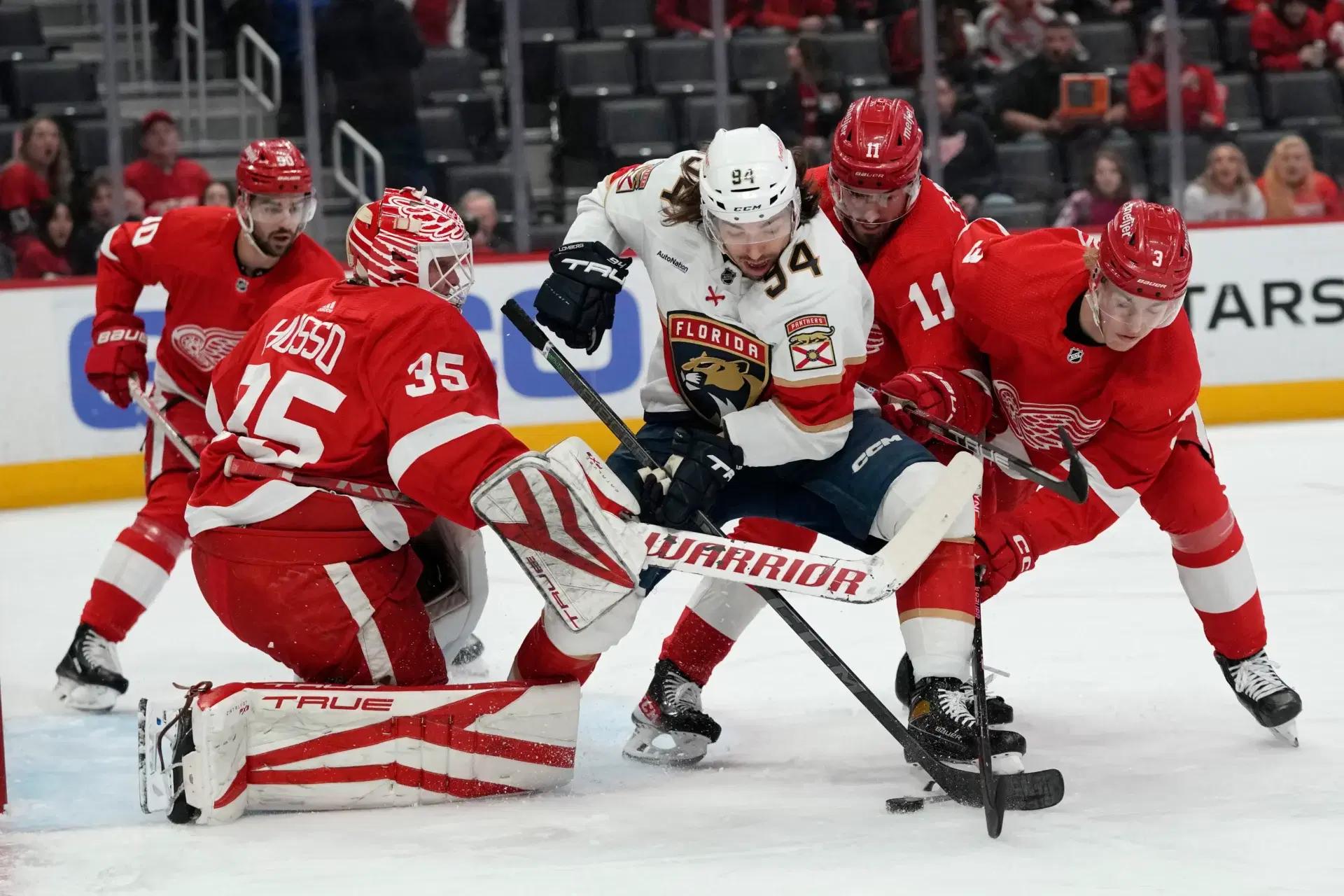 NHL: Detroit Red Wings vs Florida Panthers Predictions and Odds || January 17, 2024