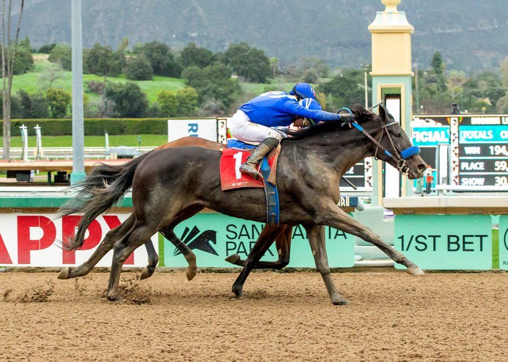 Santa Anita Picks- Saturday La Canada Stakes Analysis