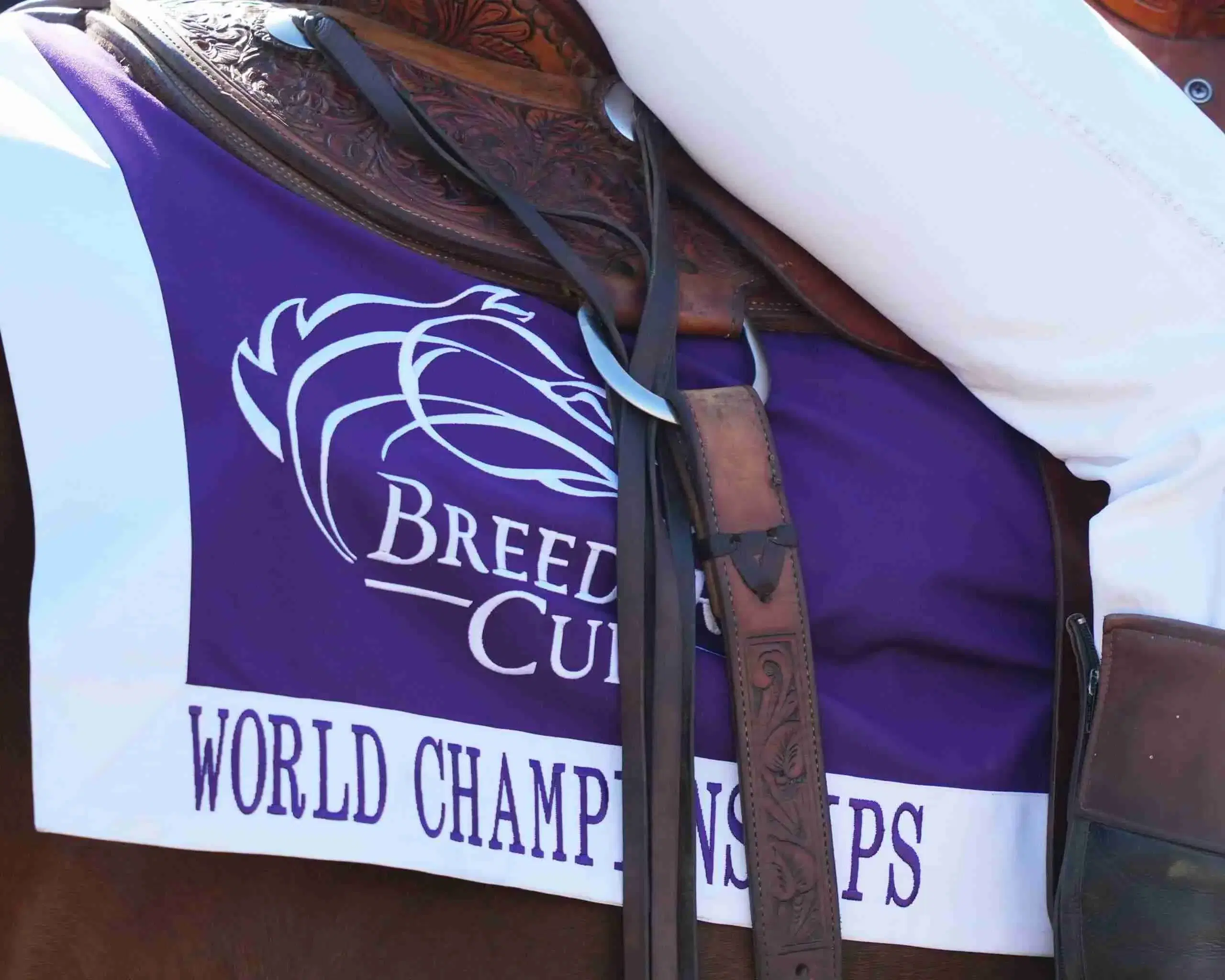 Breeders’ Cup Picks- 2024 Championship Saturday