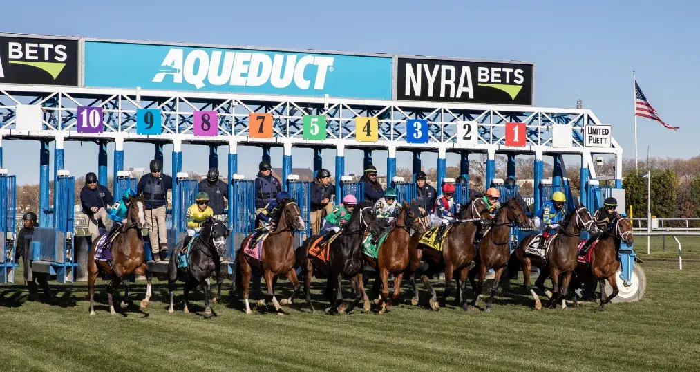 Aqueduct Picks: Grade 3 Rescheduled Pebbles Stakes (11/23/2025)