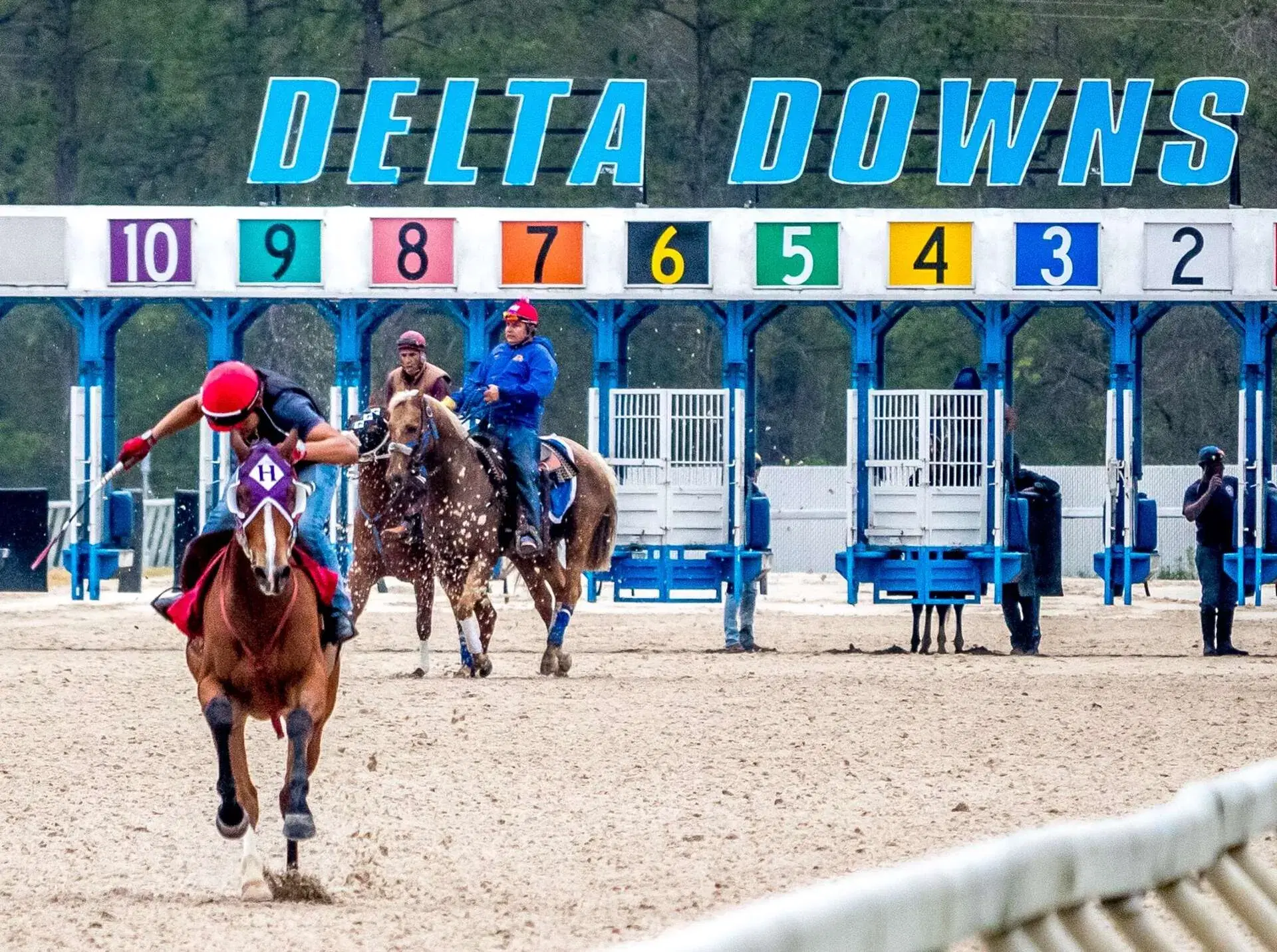 Delta Downs Picks- 2025 Louisiana Bred Premier Championship Night (Sat 2/1)
