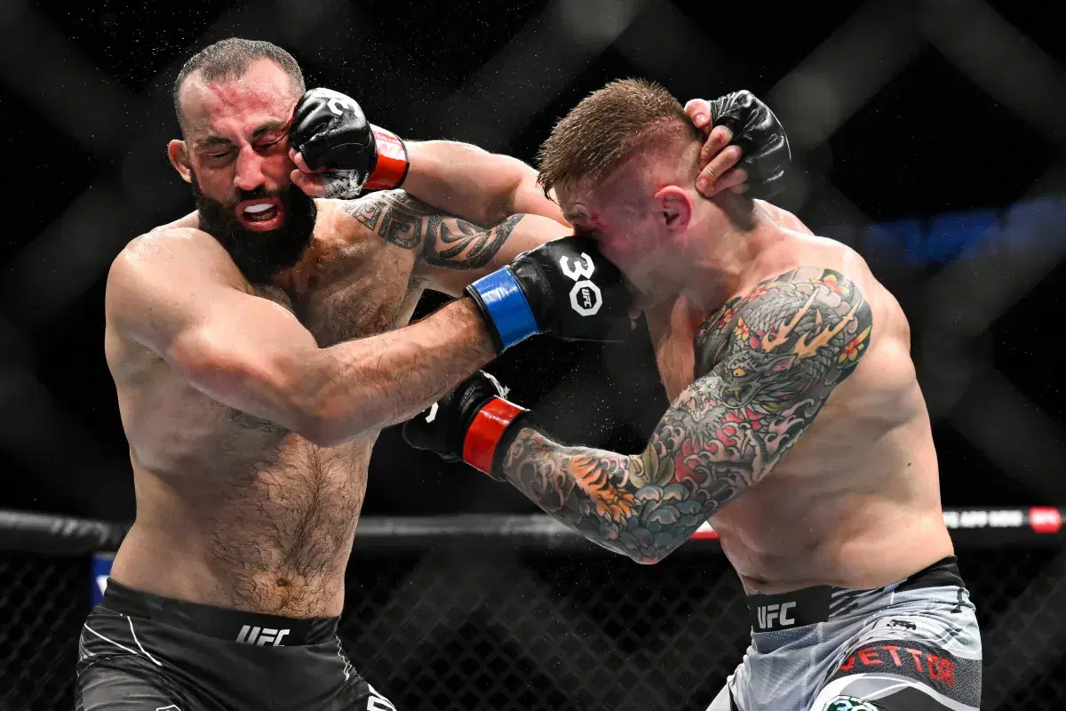 UFC Vegas 104: Dolidze vs Vettori 2 Fight Card Odds, Predictions, FAQ & Watch Info