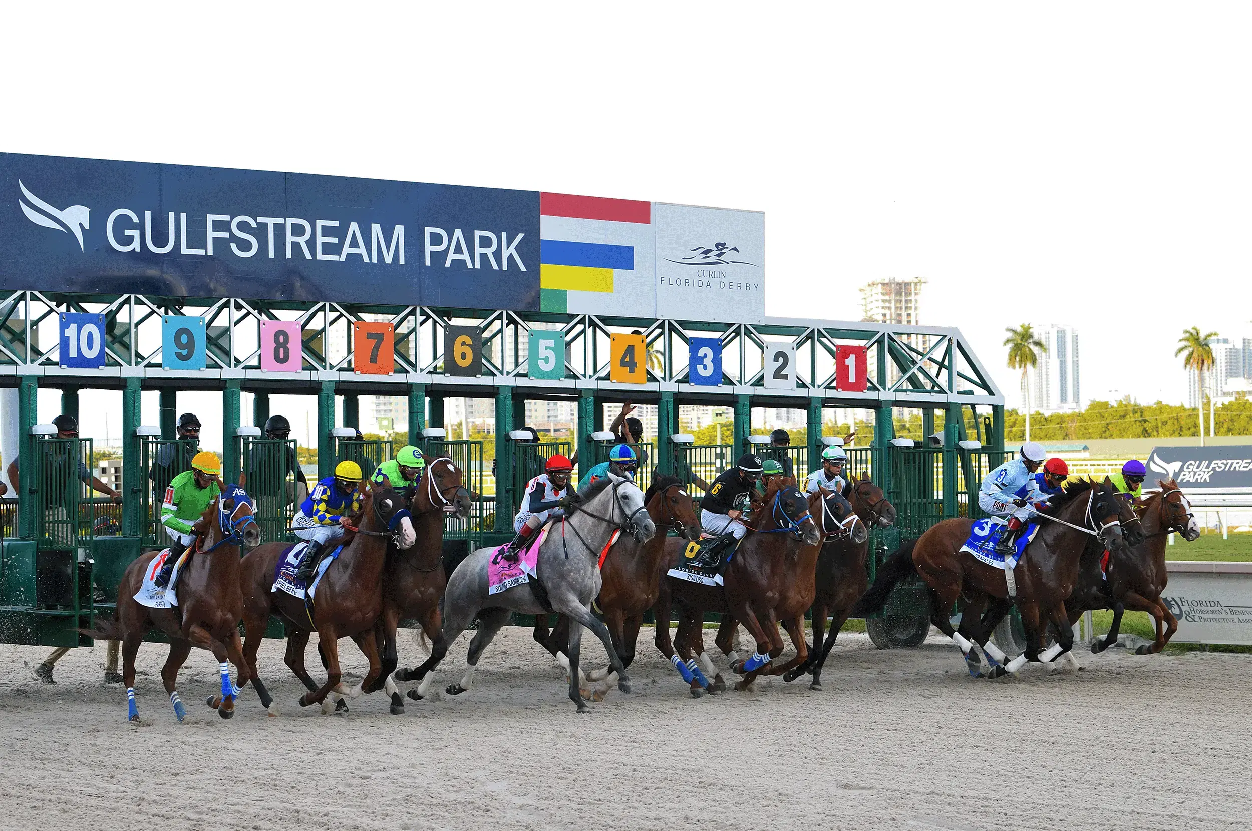 Gulfstream Park Horses off the Races