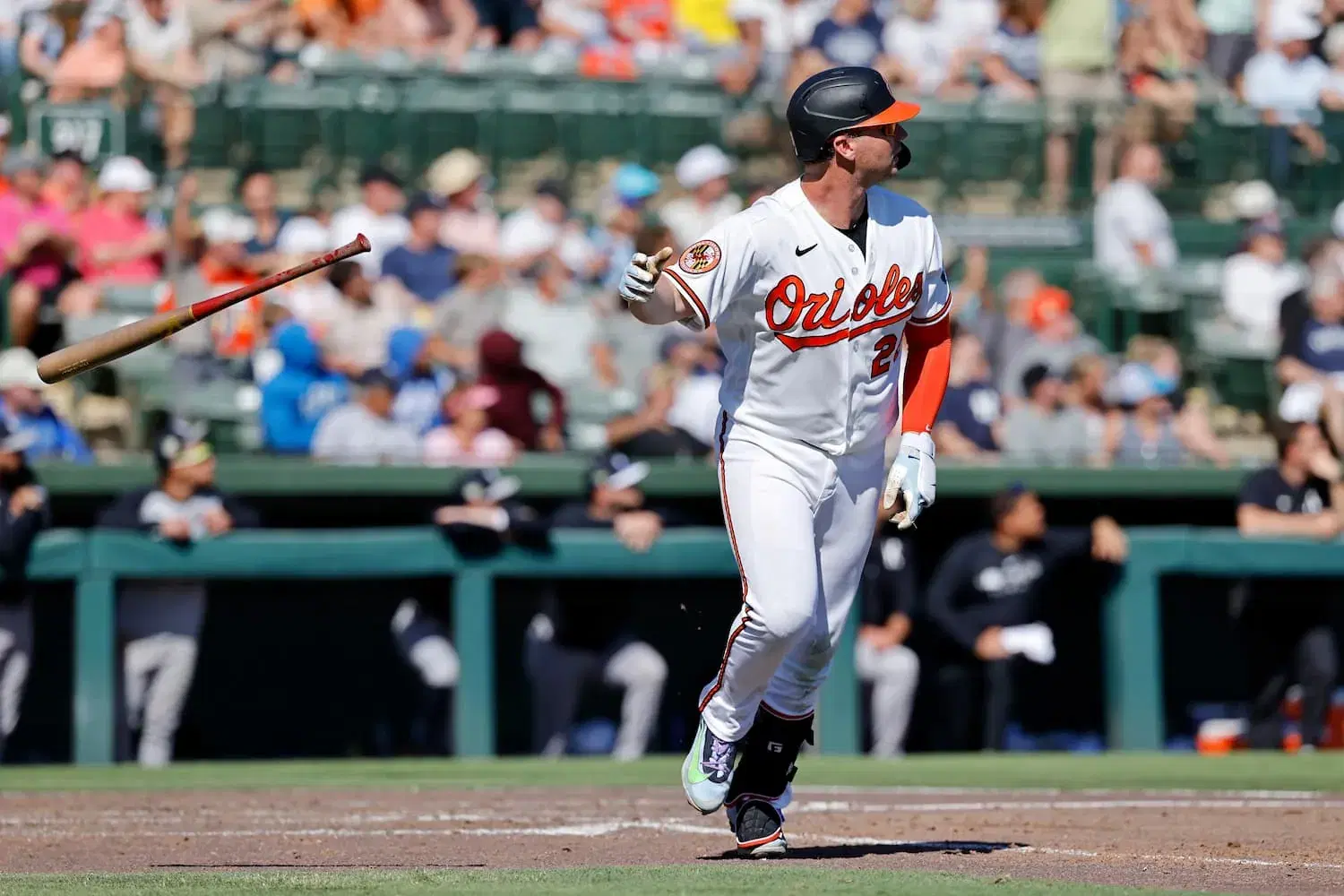 Pete Alonso