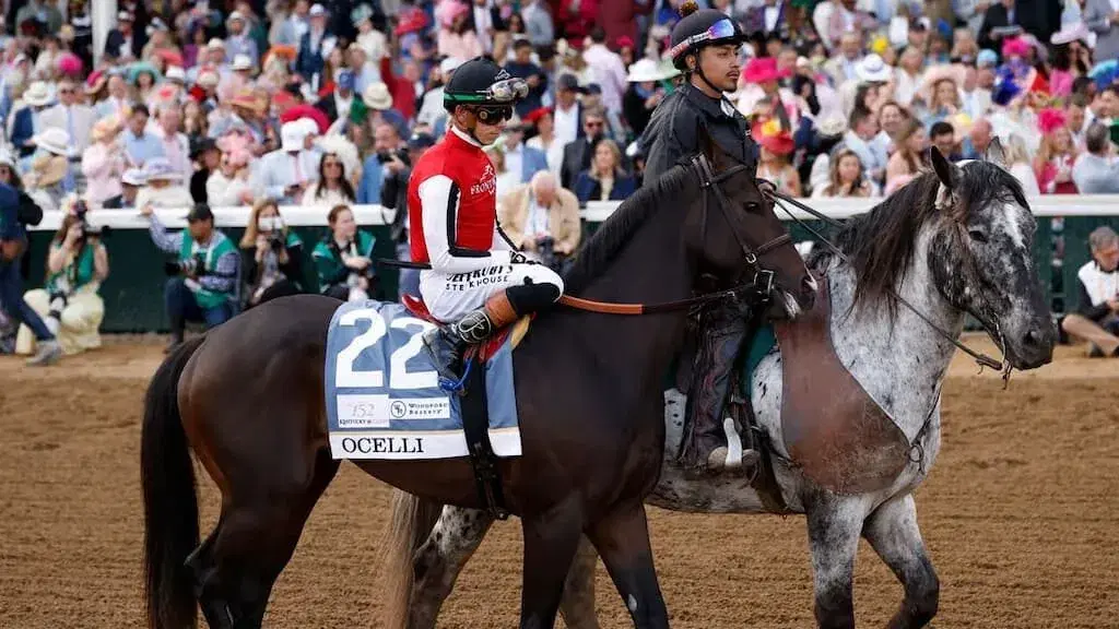 Preakness Stakes Q&A with Horse Racing Handicapper Chris Adams