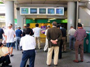 Horse Betting Tips Guide