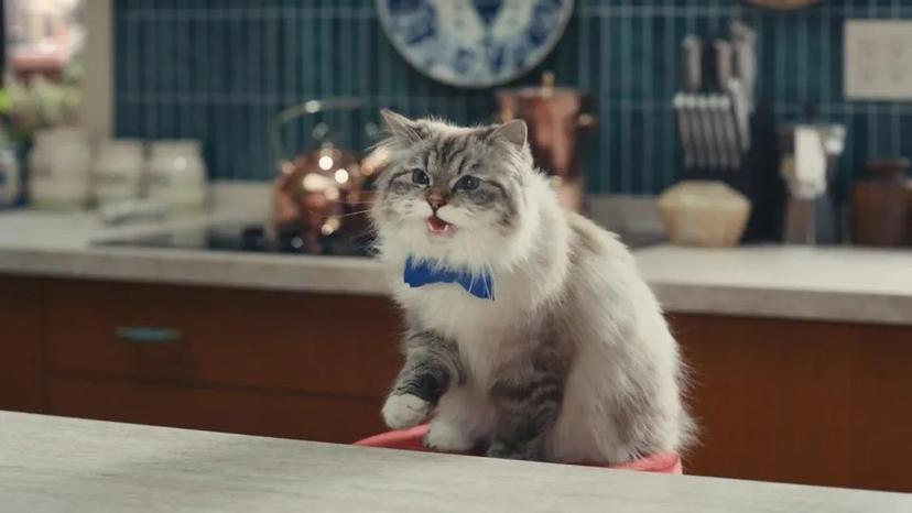 Super Bowl 58 commercial odds