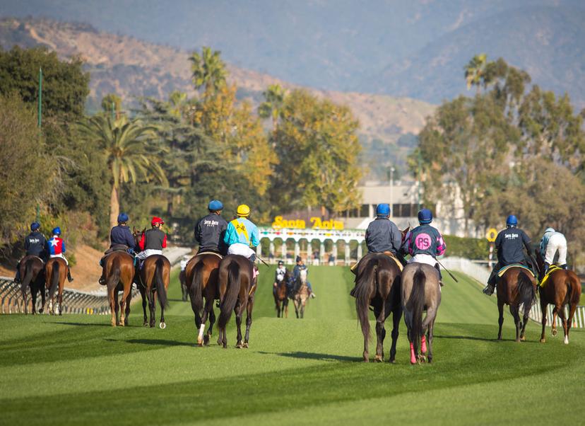 Santa Anita Picks: California Distaff Handicap (10/11/2026)
