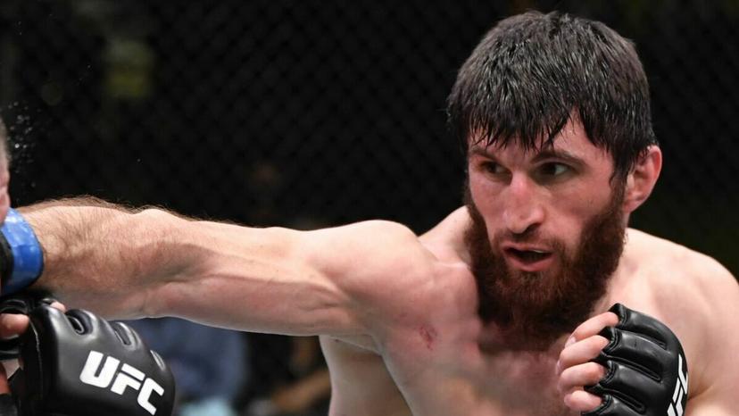 Ankalaev vs Walker 2 prediction