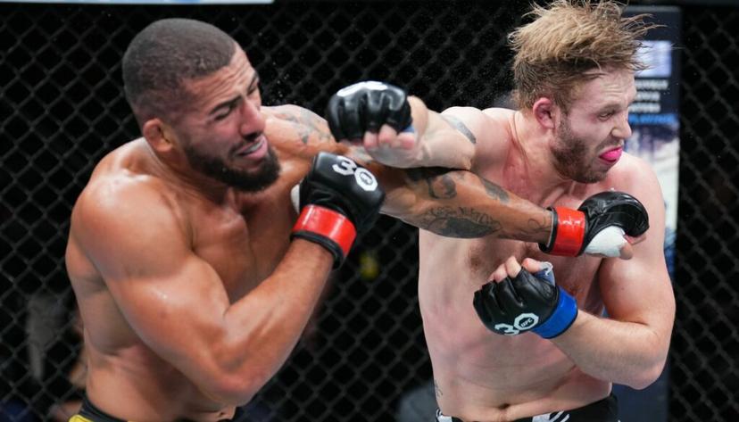 UFC Vegas 87 preview