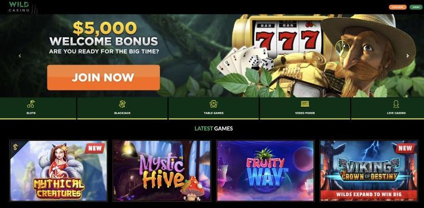 Wild Casino, Best US online Casino, Casino Review