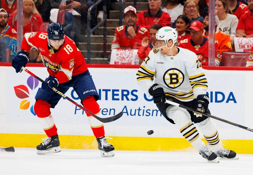 Panthers and Bruins player going for the puck.