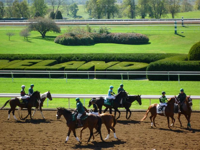 Keeneland Picks: Grade 2 Sycamore Stakes (10/9/2026)