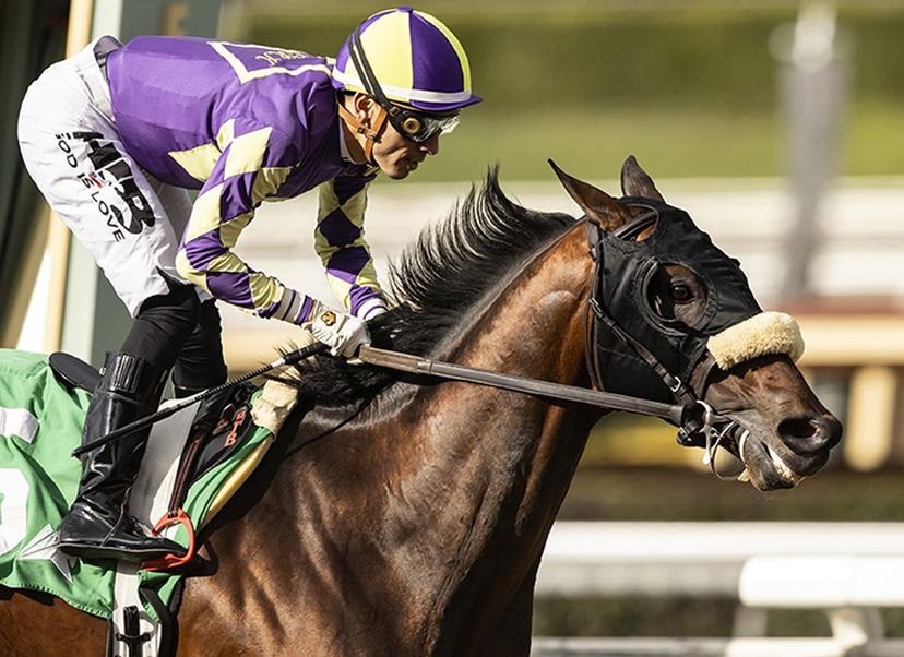 Saratoga Picks: Whitney Analysis (8/8/2026)