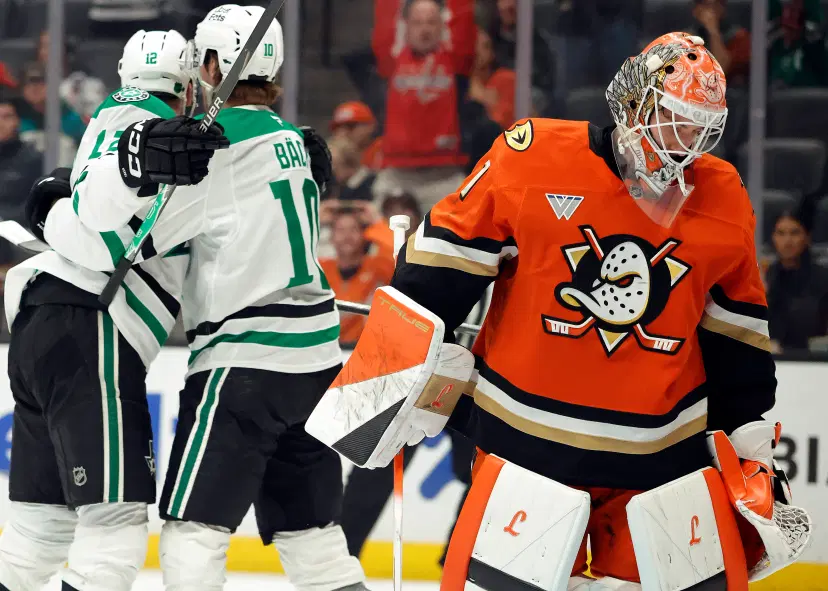 Dallas Stars player celebrating