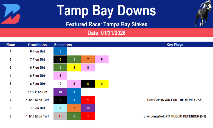 Tampa Bay Downs Picks: Tampa Bay Stakes (01/31/2026)