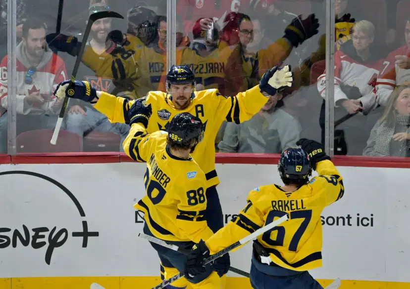 Erik Karlsson and William Nylander