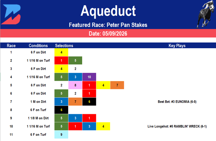 Aqueduct Picks: Grade 3 Peter Pan (05/09/2026)