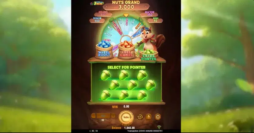 3 fortune nuts extra pointer