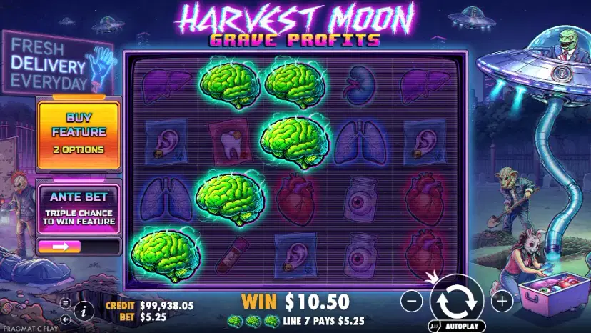 harvest moon grave profits main features