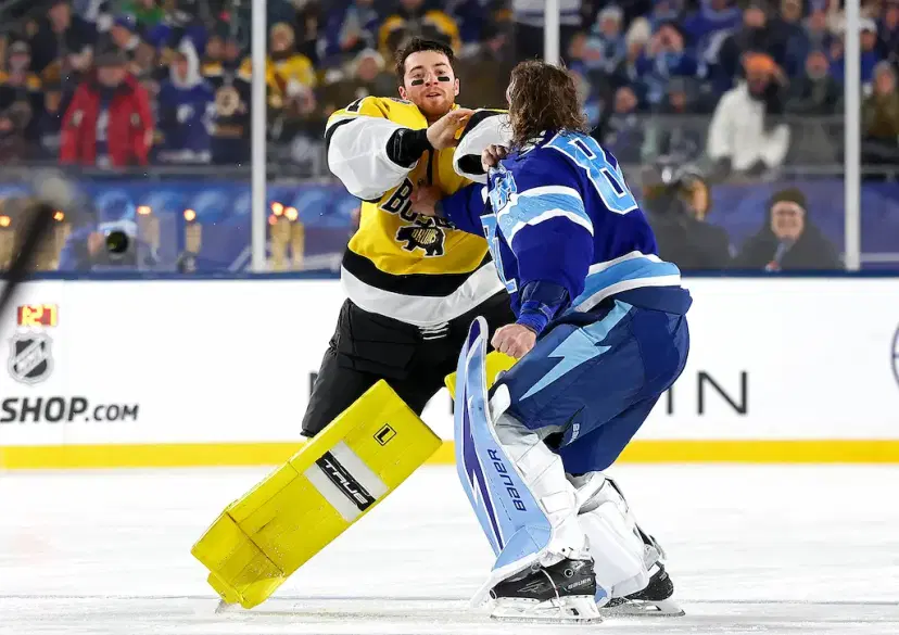 nhl hocky fight